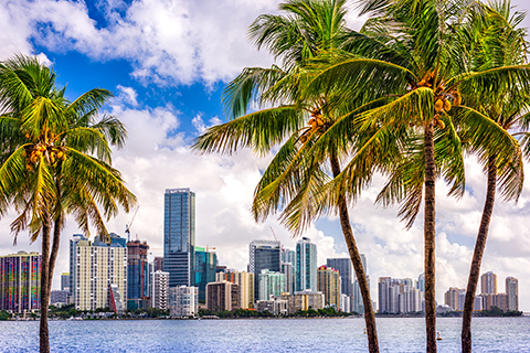 A stock photo of the Miami, FL skyline.