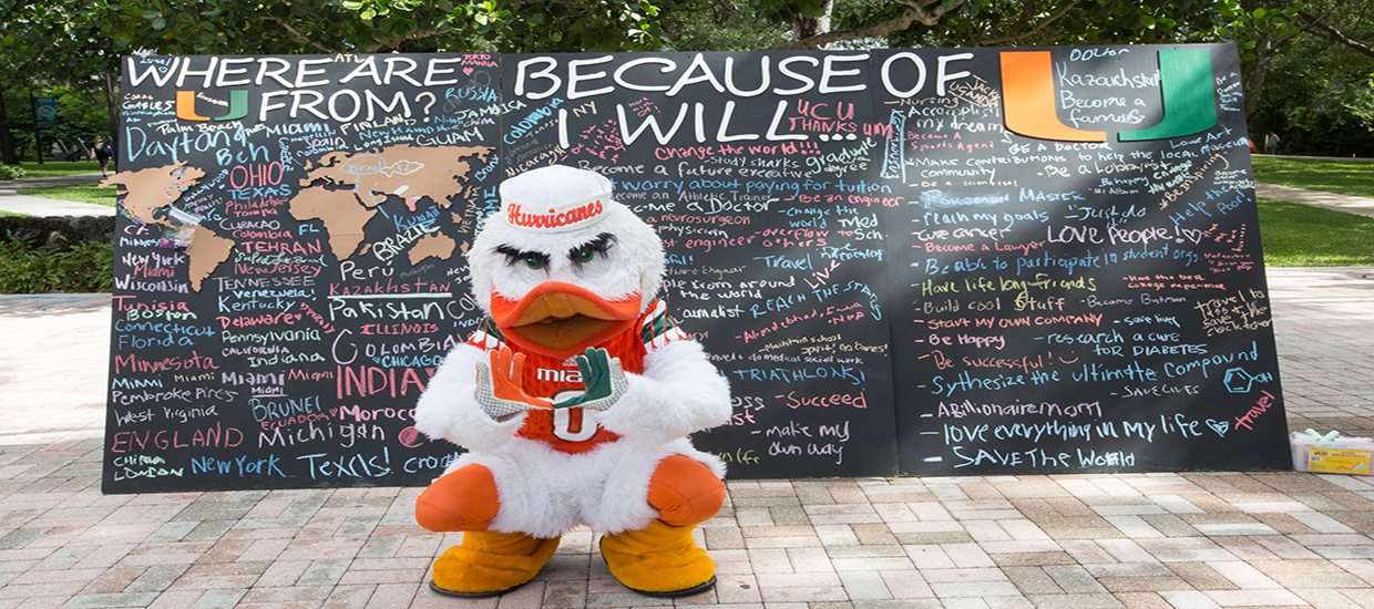 Sebastian the Ibis at a campus event at the University of Miami Coral Gables campus.